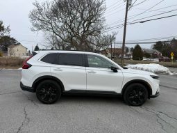
										2025 Honda CR-V Hybrid Sport Touring full									